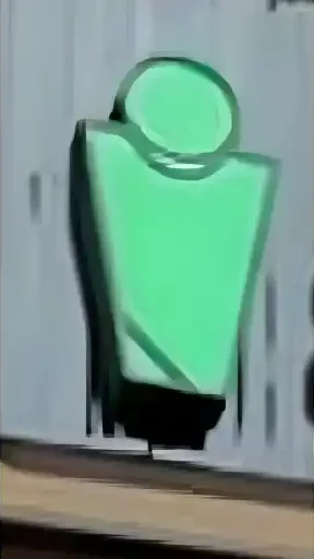 lgismsv